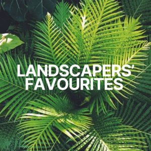 Landscapers' Favourites