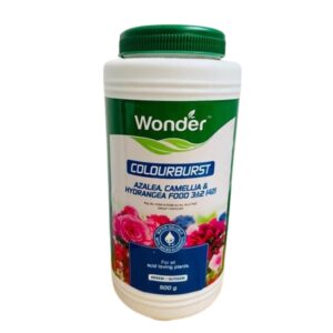 COLOURBURST AZALEA & ROSES 500gm