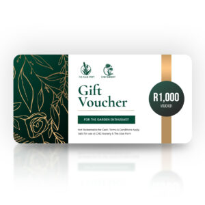 voucher-1000