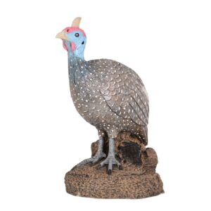 Big Geanea Fowl
