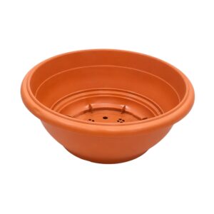 BOWL SHALLOW COTTA 51X51X29CM