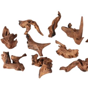 Driftwood Extra Small