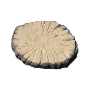 LOGS LARGE 600MM