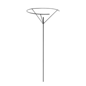 Rose Stand 134cm Psr1