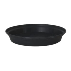 SAUCER COTTA 32.7CM X 4.1CM