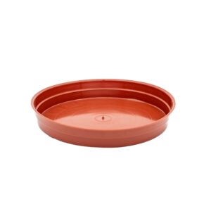 SAUCER TERRA 12-15cm