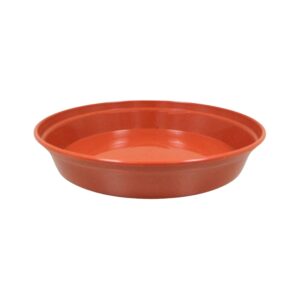 SAUCER TERRA 18-20cm