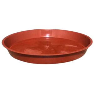 SAUCER TERRA 25-30cm