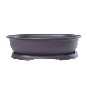 SHALLOW POT BONSAI SHAPE WITH SAUCER