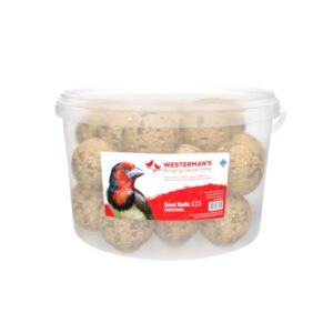 SUET SNACK MINI BALL VALUE TUB 25x125g
