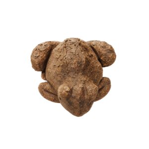 TOAD LARGE