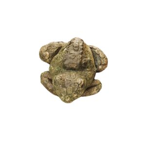TOAD SMALL