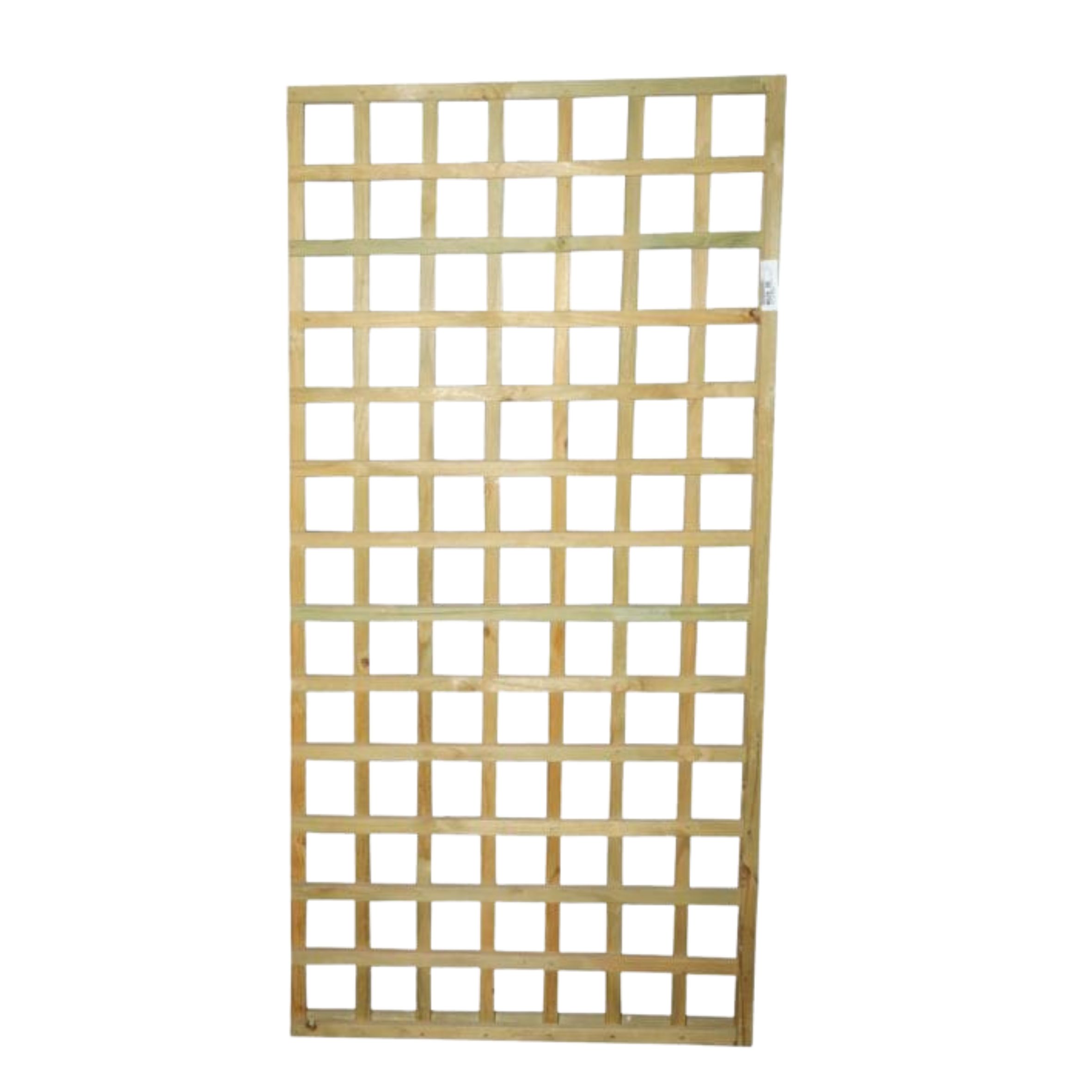 Trellis 1m X 1.5m Sq