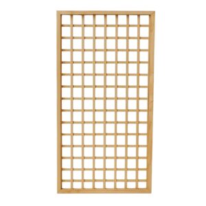 Trellis 1m X 2m Sq