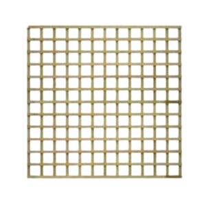 Trellis 2m X 2m Sq