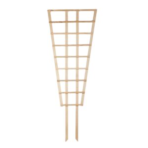 Trellis Large Fan Large