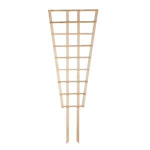 Trellis Large Fan Large